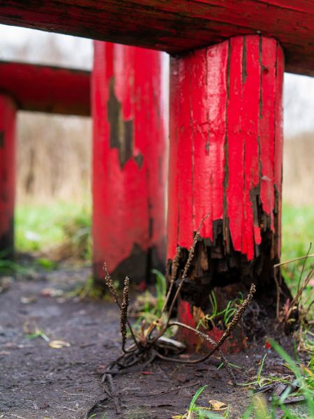 Cost of Rotten Column Replacement in Wilmington